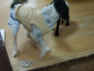 f0250542_13291687.jpg