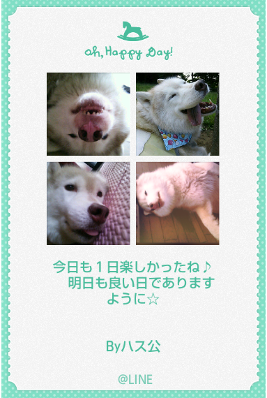 e0121548_2119488.png