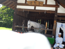d0197949_23234894.gif