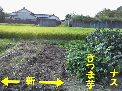 d0138650_2181712.jpg
