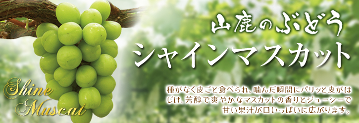 熊本ぶどう　大人気のシャインマスカット！お急ぎください!!９月３０日が今期最終発送です!!_a0254656_1912461.jpg