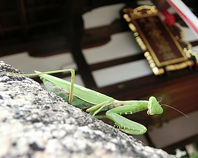 e0035757_01302510.jpg