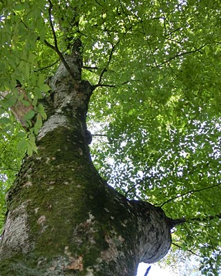 e0035757_01305122.jpg