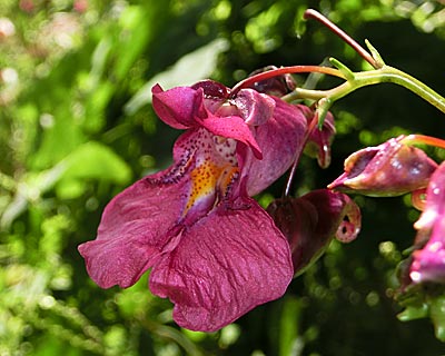e0035757_01320491.jpg