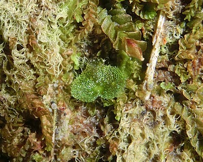 e0035757_01352724.jpg