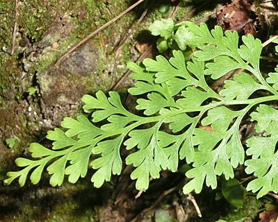 e0035757_01361458.jpg