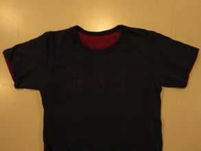 \"Norwich Sportswear REVERSIBLE TEE CAT\"ってこんなこと。_c0140560_10374798.jpg
