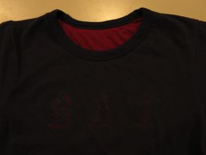\"Norwich Sportswear REVERSIBLE TEE CAT\"ってこんなこと。_c0140560_10381869.jpg