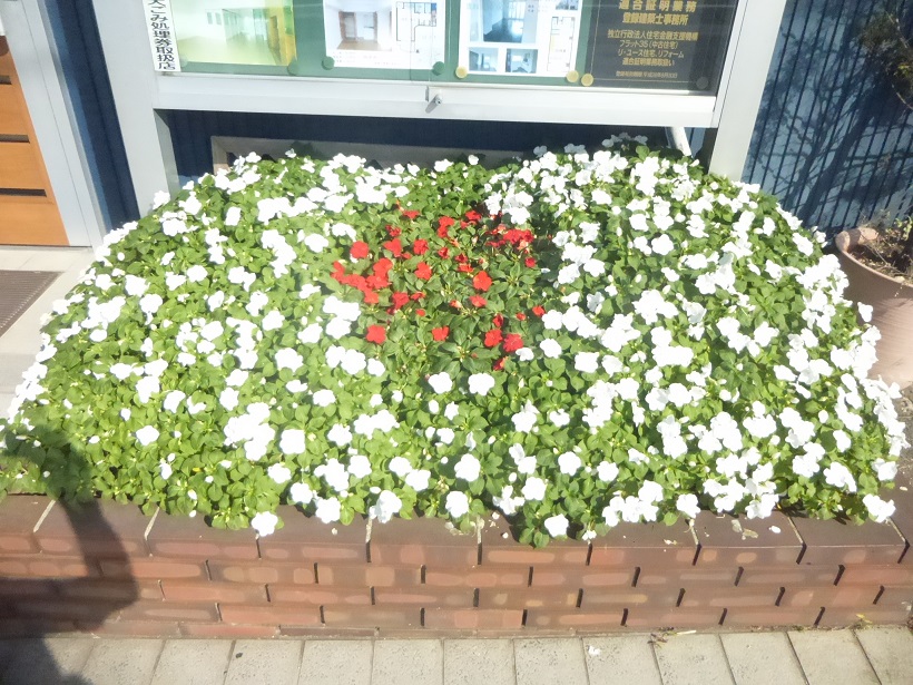 豊満な花壇_f0205367_13472456.jpg