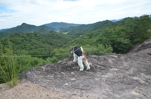 登山だ！GOGH　（宝塚西谷の森公園）その２_e0276872_10063737.jpg