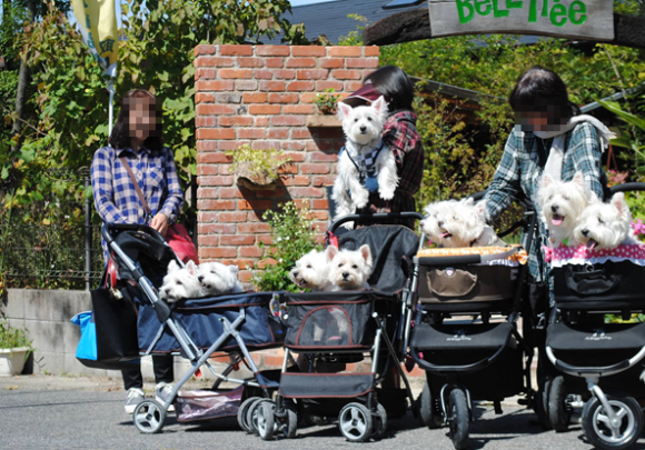 b0242873_01131576.png