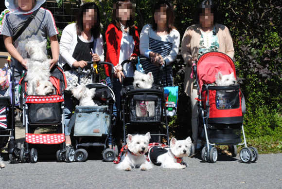 b0242873_01165516.png