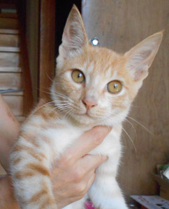 d0321591_032267.jpg
