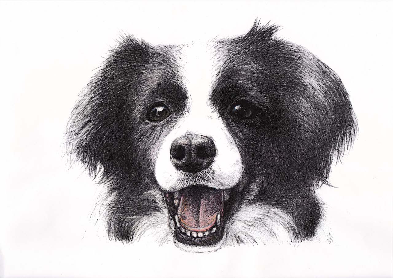 【犬】写真みたい!_f0141609_18501112.jpg