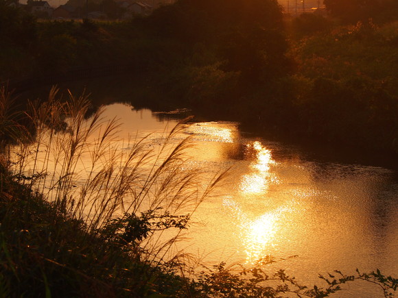 d0048812_1032386.jpg