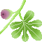 f0228619_1549743.gif