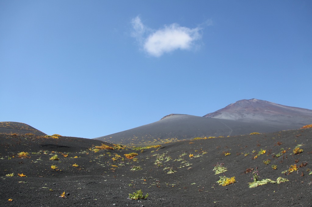 富士山太郎坊に行ってきました 自然発見 自然感動