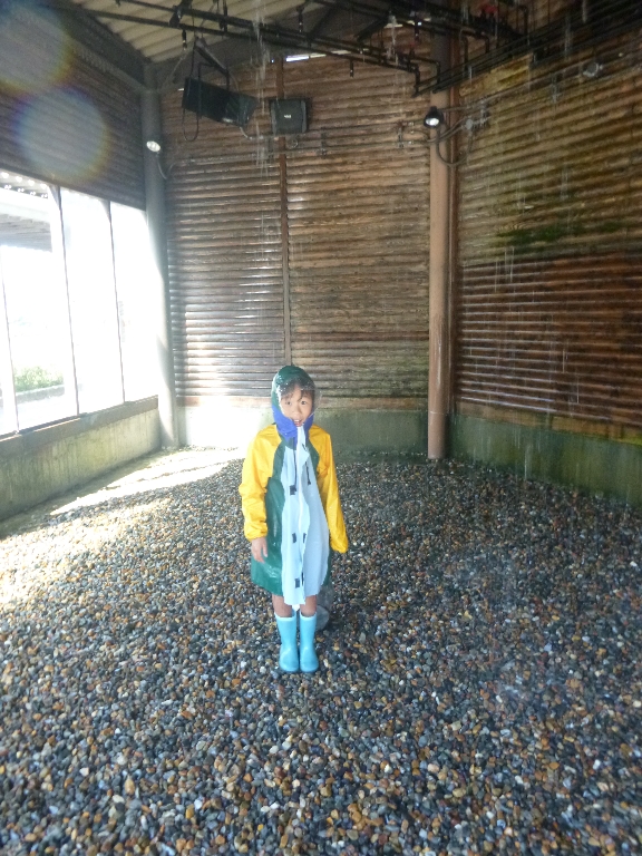 c0113733_2336730.jpg