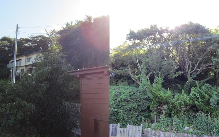 c0142535_2016417.jpg
