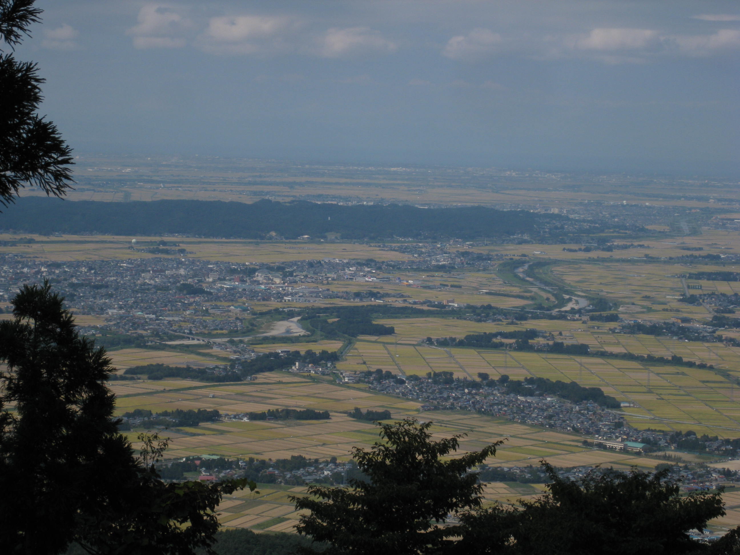 a0158236_90134.jpg