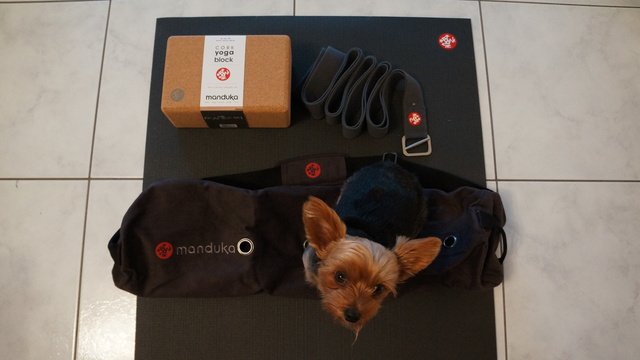 Manduka Pro Yoga Mat　(マンドゥカ)_c0248040_533096.jpg