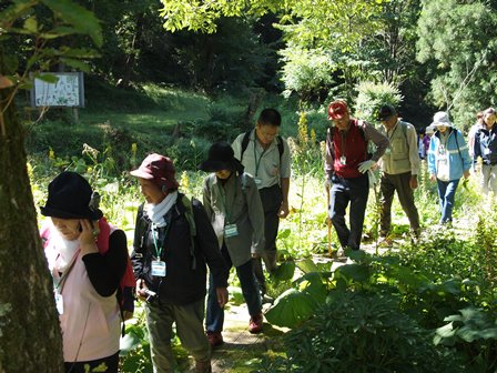 『第13回　ふるさと岡山の森を訪ねる旅』レポート_b0211845_1854412.jpg