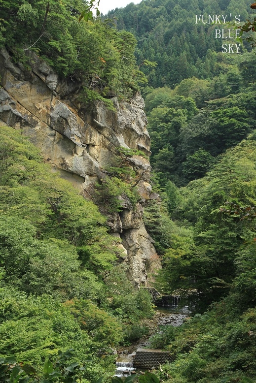 c0145250_10434257.jpg