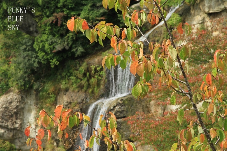 c0145250_10434822.jpg