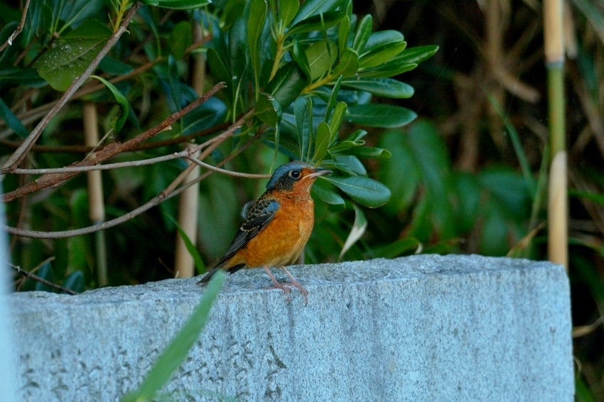 b0148352_22514110.jpg