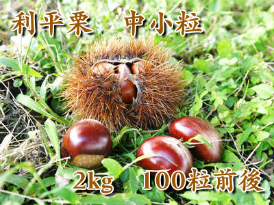 利平栗 栗の王様『利平栗』 まもなく完売!!収穫(栗拾い)最盛期です!!_a0254656_1963837.jpg