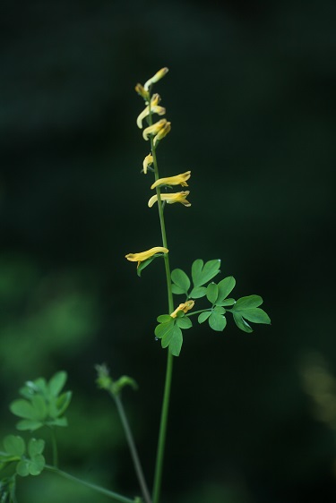 e0304170_17243757.jpg