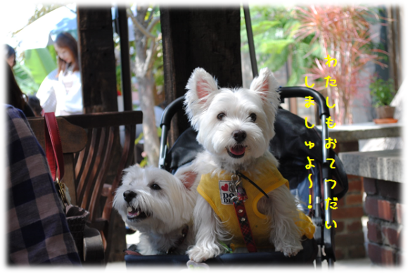 b0242873_02014096.png