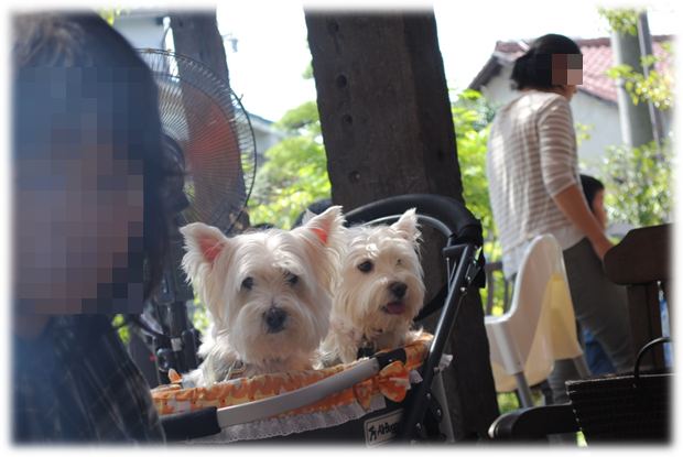 b0242873_02083200.png