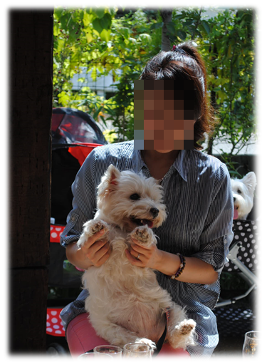 b0242873_02272197.png