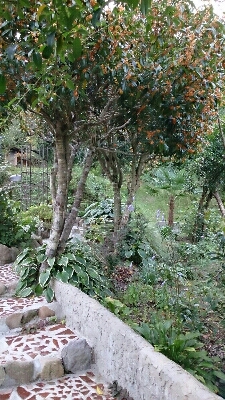 d0162377_17463984.jpg