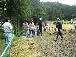 稲刈り体験(月光原小・西根小)_d0247484_13591946.jpg