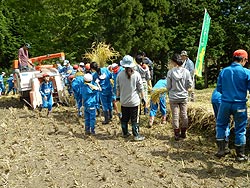稲刈り体験(月光原小・西根小)_d0247484_13594175.jpg