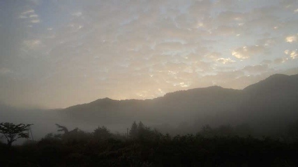 a0130586_22415529.jpg
