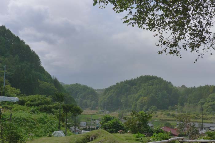a0130586_2336682.jpg