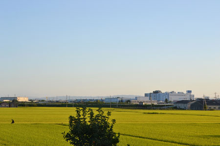 e0246788_11525252.jpg
