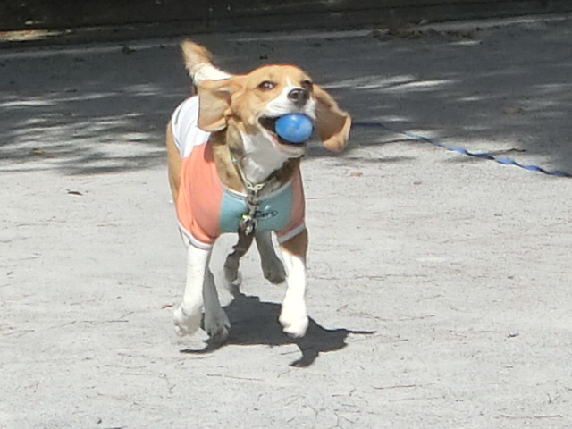 a0319693_94263.jpg
