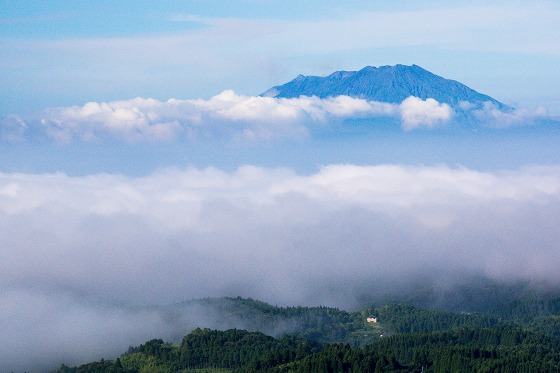 桜島_e0176993_684612.jpg