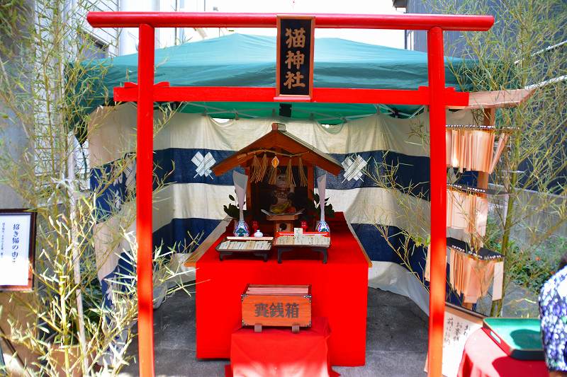 招き猫祭り!_c0265095_23115734.jpg