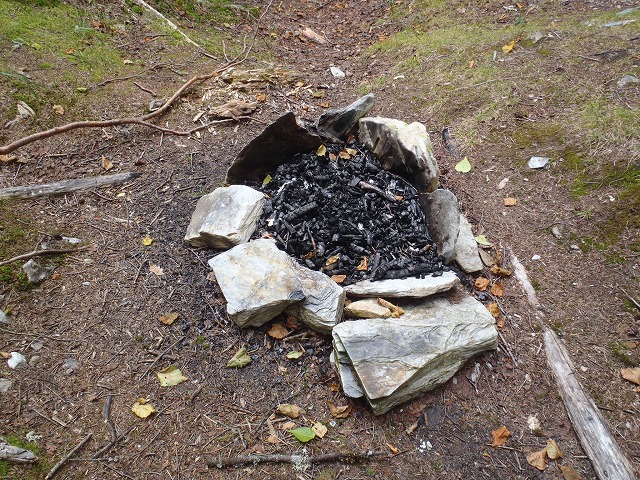 白峰南陵 地味だけど超キツイ笹山ダイレクト尾根!_c0147398_19471218.jpg