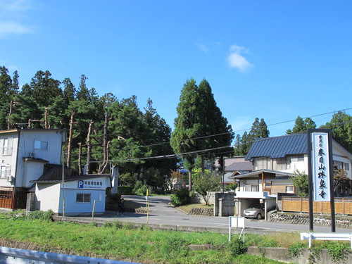 風に揺らぐ花・コスモスを愛でる、掘立川堤防（２）　２０１４．９．２６_c0075701_6535070.jpg