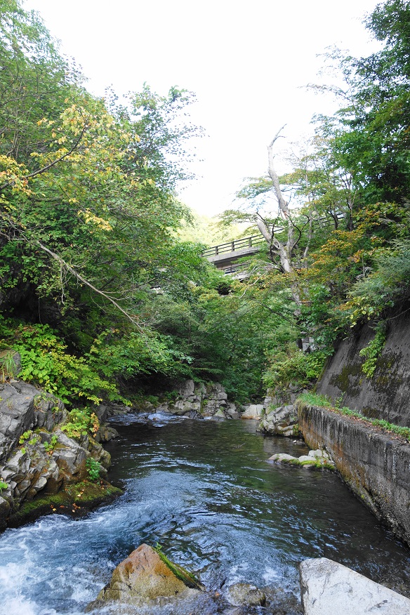 舞茸・蕎麦・時々釣り_e0123808_21282572.jpg