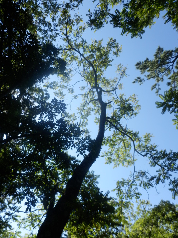 c0062511_12425968.jpg