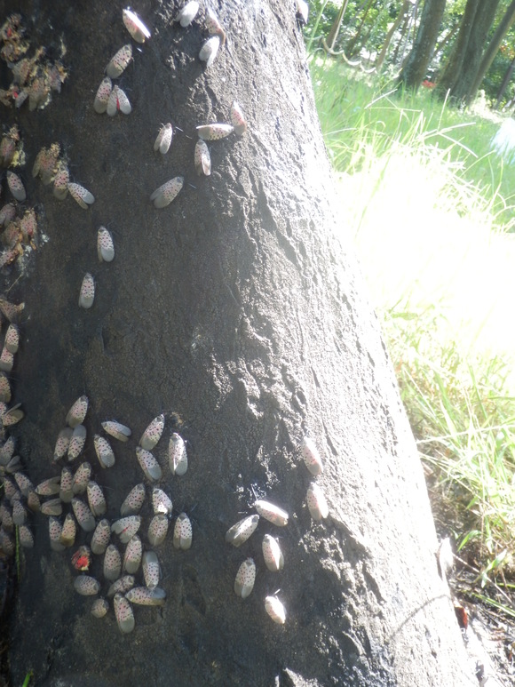 c0062511_21275488.jpg