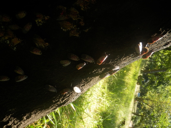 c0062511_21321592.jpg
