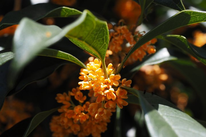 a0268412_22425660.jpg
